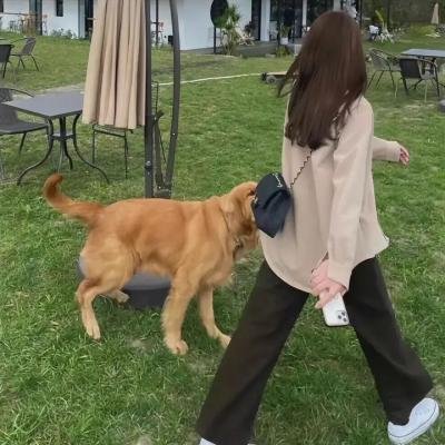 会说话的照片